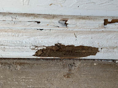 termite inspection edmond ok